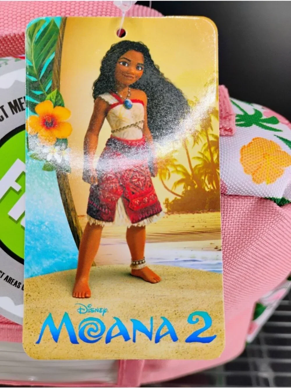 Moana Themed Kids Insulated Lunch Bag With Colorful Design